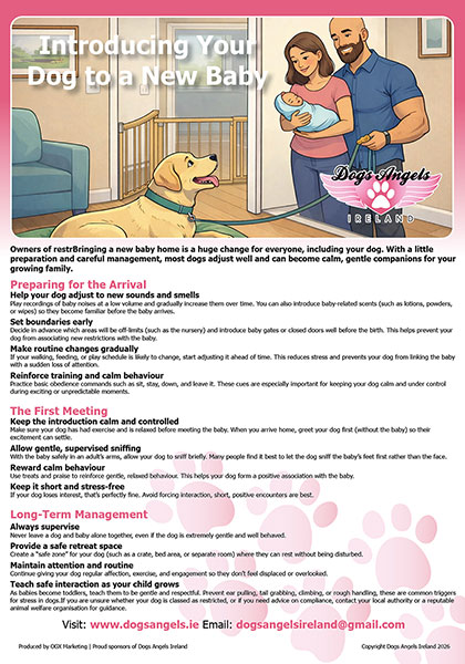 Introducing Your Dog to a New Baby