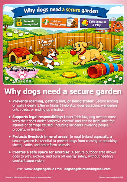 Why Dogs Need a Secure Garden